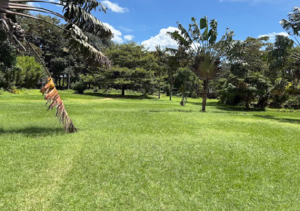 26 ACRES LAND FOR SALE – KAREN