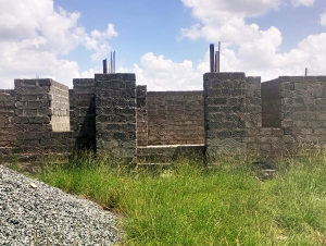 50 × 100 Partially Developed Plot – Shangilia/Katani